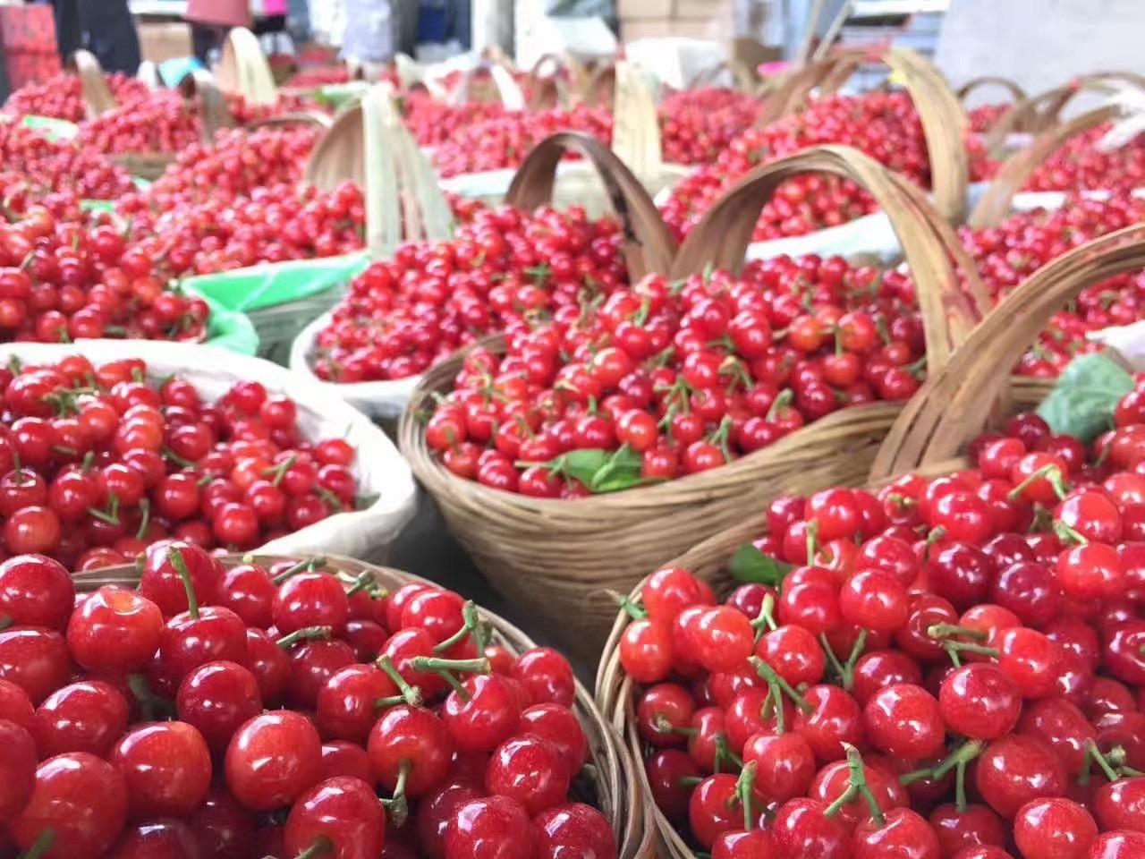 航空托运水果空运樱桃空运怎么做？-成都机场空运物流公司