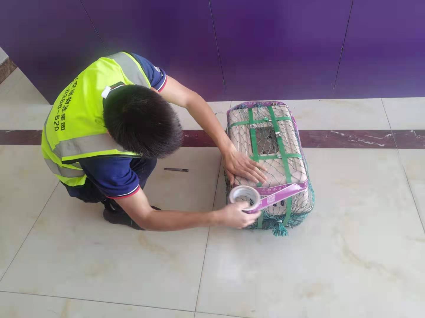 猫咪出生多久可以空运呢，猫咪空运的限制条件又有哪些呢？-成都机场空运物流